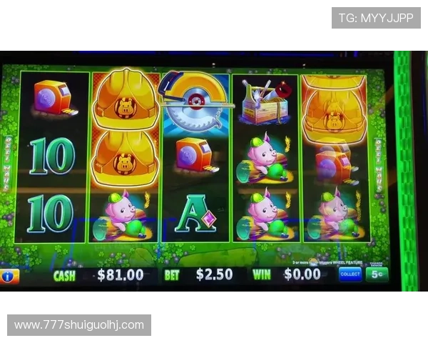 打老虎机100包赢的秘诀有哪些，提升胜率的实用攻略推荐